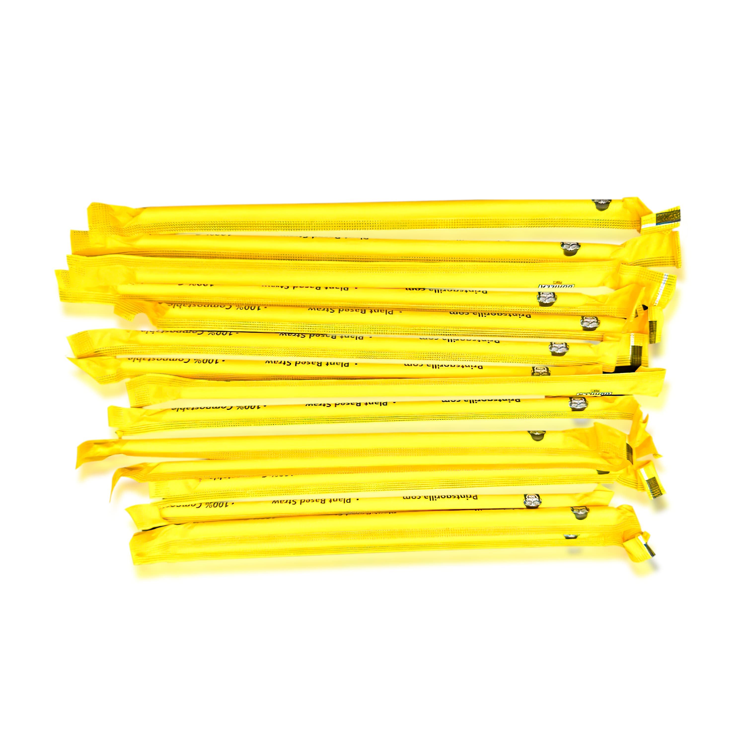 Plastic Straw (Paper Wrapped)